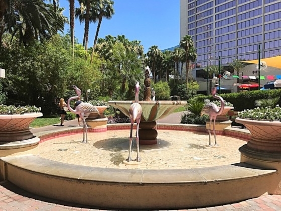 The Wildlife Habitat at The Flamingo Hotel & Casino Las Vegas