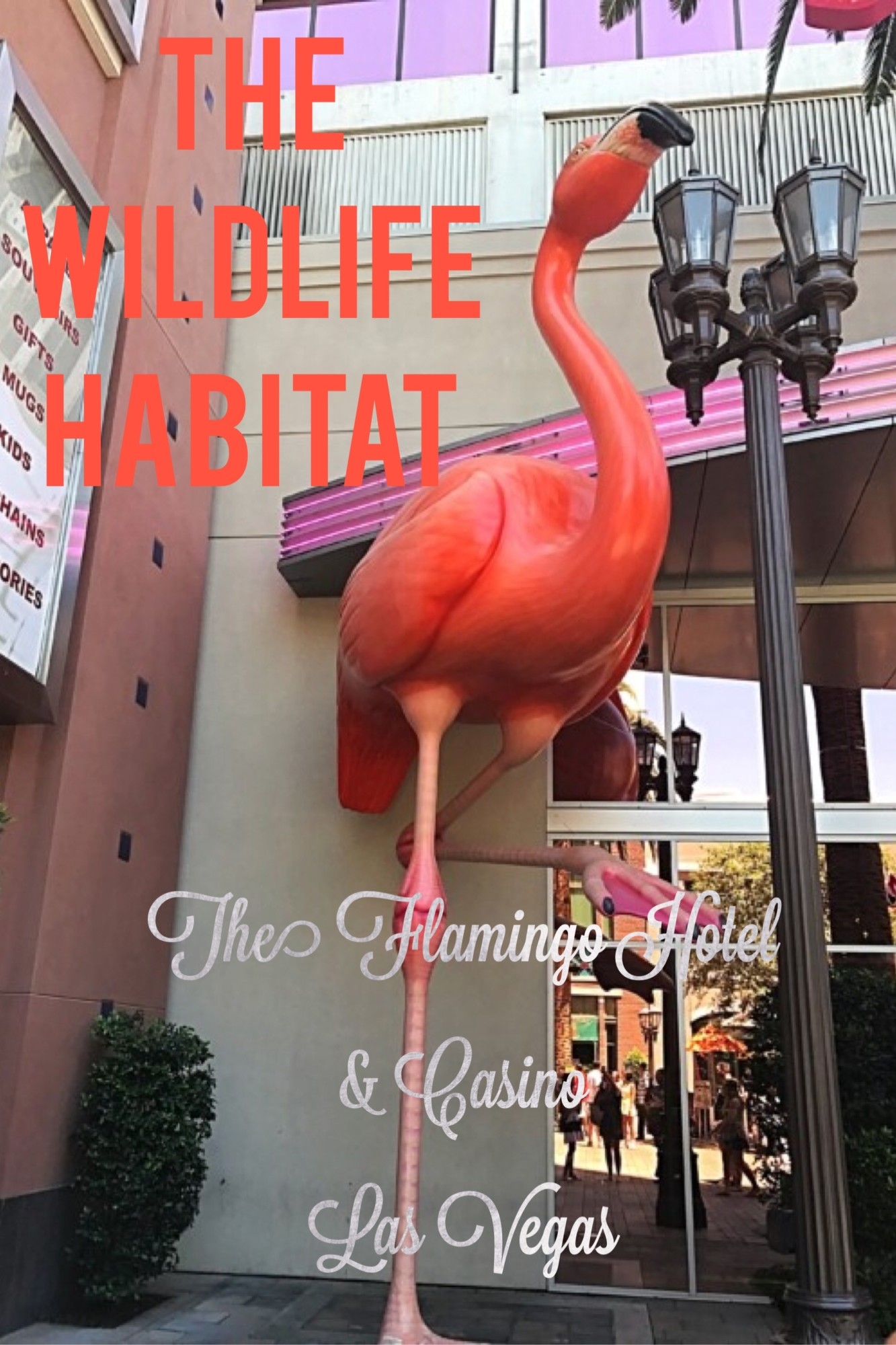 The Wildlife Habitat at The Flamingo Hotel & Casino Las Vegas